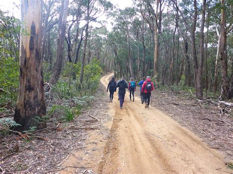 Six Foot Track Nsw Holidays And Accommodation Things To Do