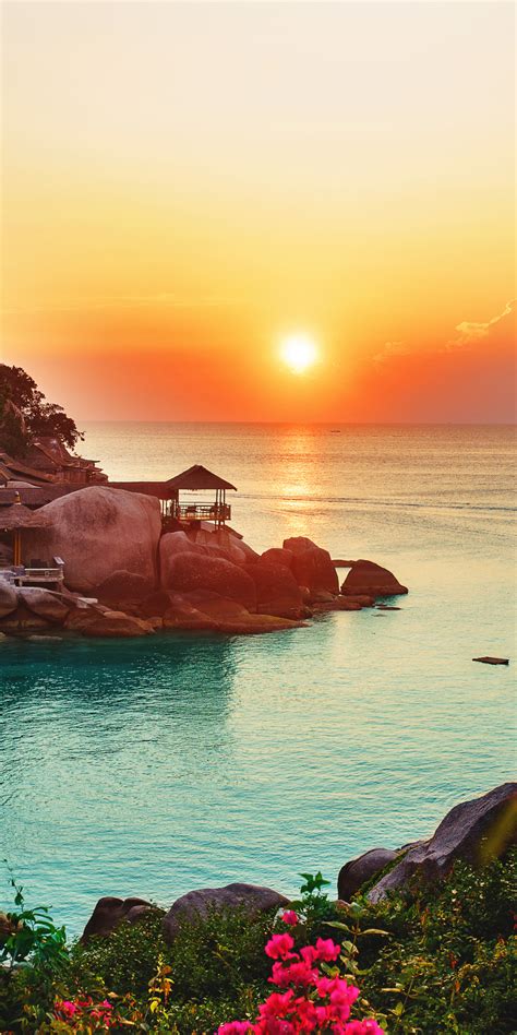 Download 1080x2160 Wallpaper Ocean Horizon Nature Adorable Sunset
