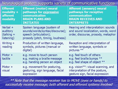 SPHS Neurological Bases Of Speech And Hearing Sciences Ppt Download