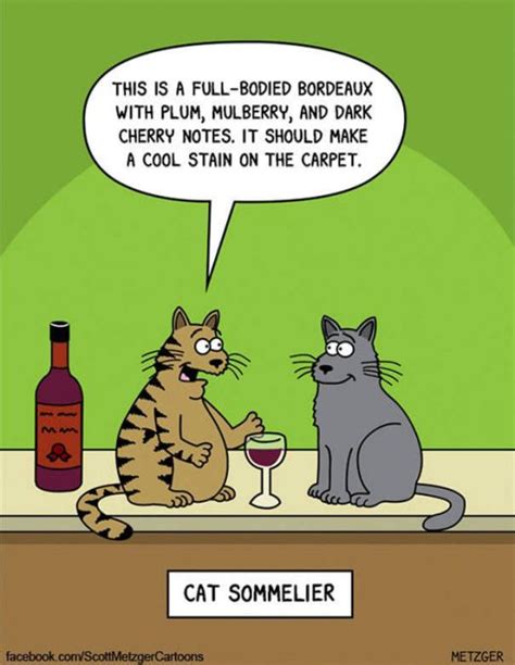 Funny Cat Cartoons Fun