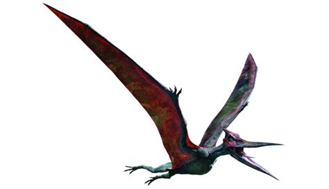 Jurassic World Pteranodon Render 2 By Tsilvadino On Deviantart