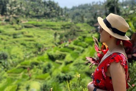 Bali Trusted Mates Canggu 2022 Qué Saber Antes De Ir Lo Más Comentado Por La Gente
