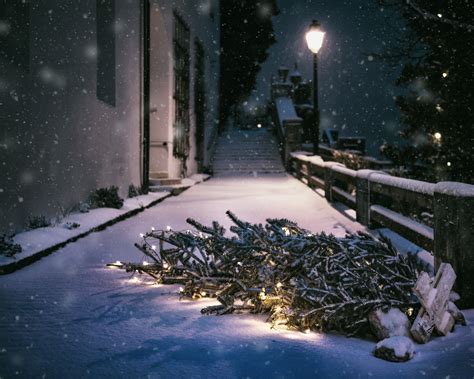 Free Images Snow Cold Night Weather Snowy Darkness Lamp