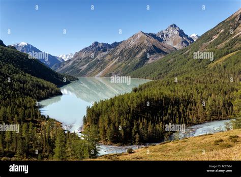 Kucherla Lake In The Altai Mountains Russia Stock Photo Alamy