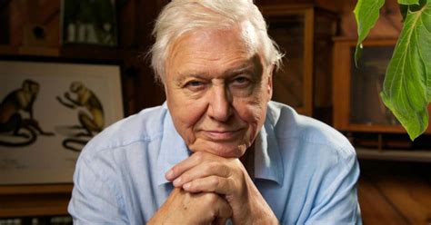 Sir david frederick attenborough (/ˈætənbərə/; Sir David Attenborough Set To Return With A Must-See BBC ...