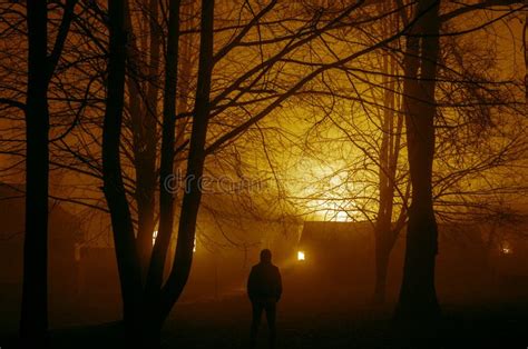 Strange Silhouette In A Dark Spooky Forest At Night Mystical Landscape