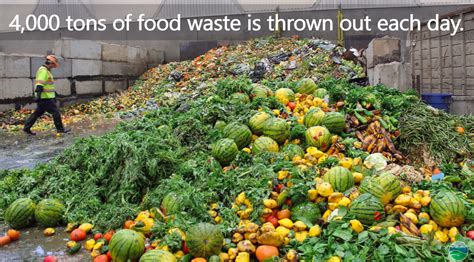 Food Waste Food Insecurity Climate And Equity Sierra Club Angeles