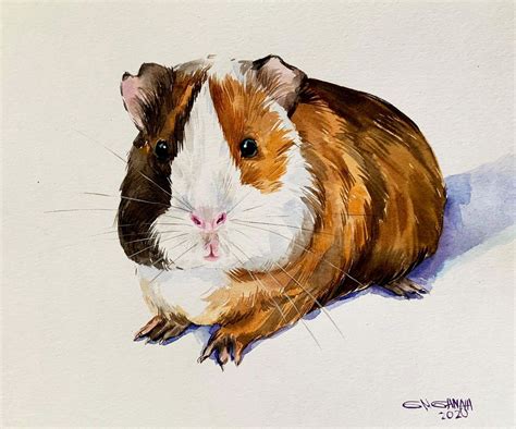 Pin On Guinea Pig Painting