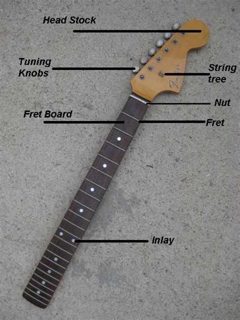 This is what is known as either 'dreadnought', 'flat top', 'jumbo', 'folk' or 'country and western' guitar and has a larger. Parts Of The Guitar | GitGuitar