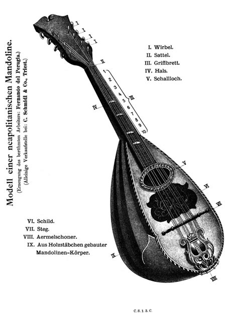 Giuseppe Branzoli Theoretical And Practical Method For The Mandolin