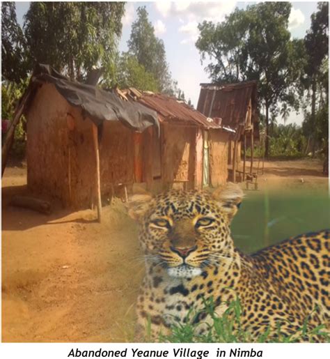 Leopards Rampage In Nimba Liberia News The New Dawn Liberia Premier