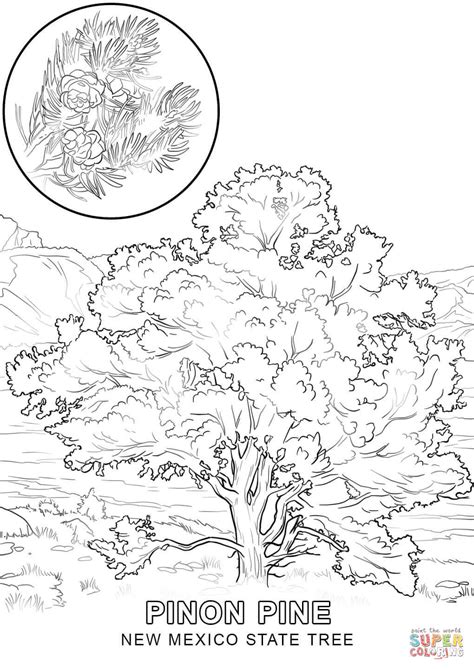 The red sun symbol was. New Mexico State Tree coloring page | Free Printable ...