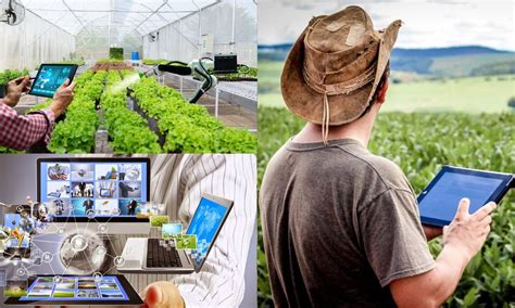 Técnico Em Agricultura Digital