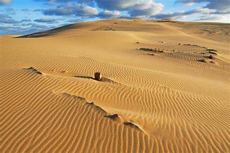 Silver Lake Sand Dunes Photograph By Dean Pennala Fine Art America