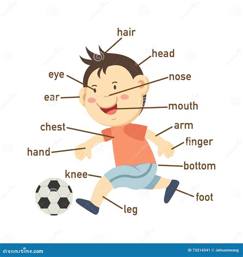 Illustration Of Vocabulary Part Of Body Cartoon Vector Cartoondealer