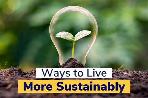 16 ways to live more sustainably