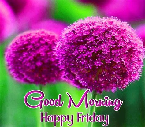Happy Friday Good Morning Wishes With Flowers Good Morning Happy