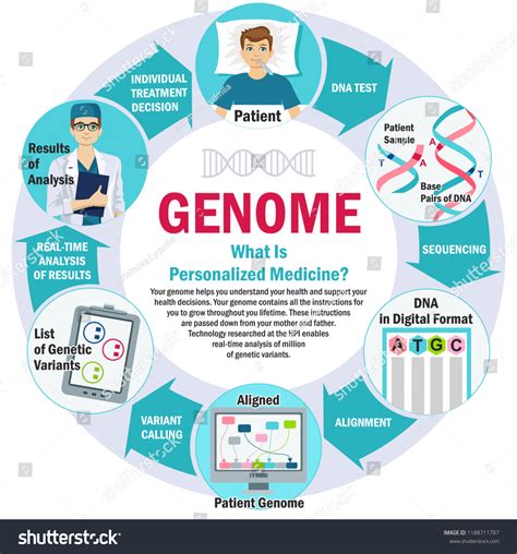 Genome Personalized Medicine Infographics Health Biochemistry Stock Vector Royalty Free
