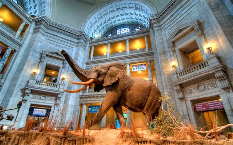 What Is The Best Smithsonian Museum?