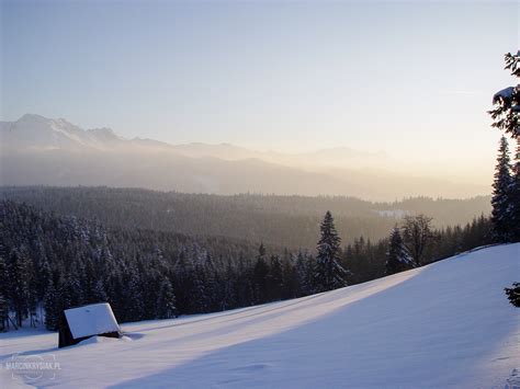 Zachód Słońca Zima śnieg Las Góry Zakopane Drzewo Drzewa Polska