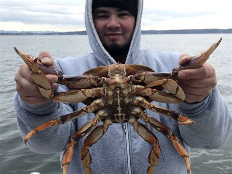 The right way to … Everett Winter Crabbing Report - Riptidefish