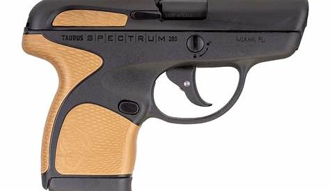 concealed carry pistols with manual safety