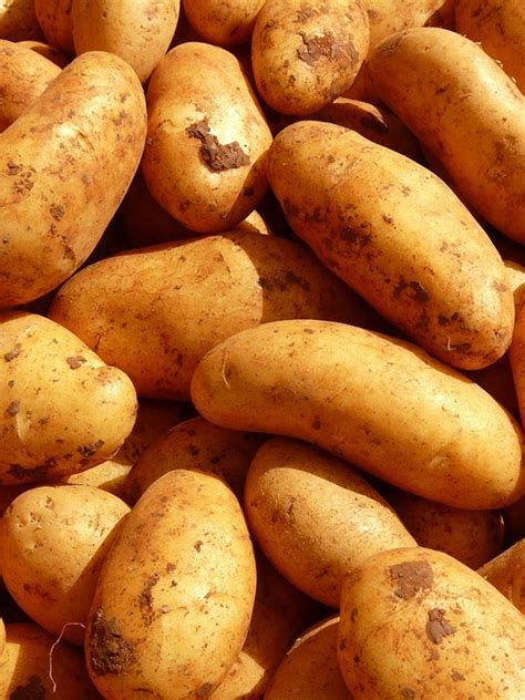 Free Photo Potatoes Vegetables Potato Food Free Image On Pixabay