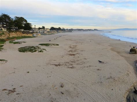 Seabright Beach Santa Cruz Ca California Beaches