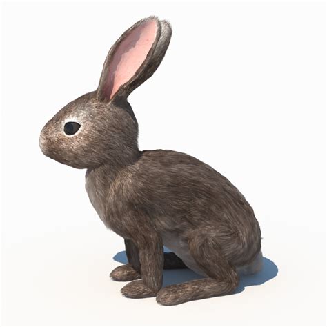 rabbit bunny animation 3d max