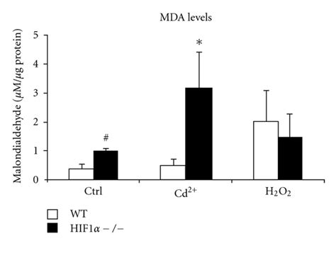 Recently, the effects of cdcl2 on the pancreas and pancreatic cells have been further described in this study, we examined the effects of cadmium chloride (cdcl2) on mitochondrial function due to the. Lipid peroxidation under CdCl2 treatment. Lipid ...