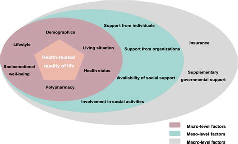 Health Related Quality Of Life Conceptual Model Guided By Levels Of