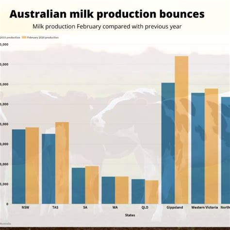 Australian Milk Production Bounces
