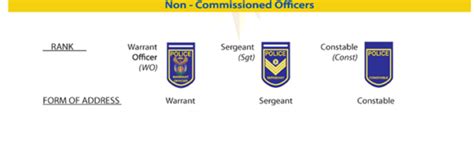 South African Police Service Rank Structure Infoguide South Africa
