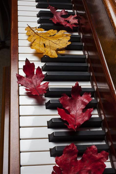 Autumn Leaves On Piano Photograph Fondo De Pantalla De Inconformista