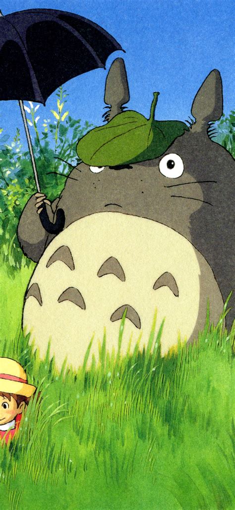My Neighbor Totoro Iphone 1242x2688 Wallpaper