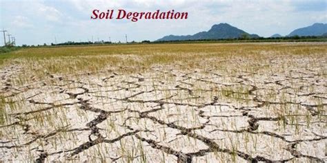 Soil Degradation Qs Study