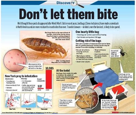 100 Best Images About Bed Bug Bites On Pinterest Signs Of Bed Bugs M