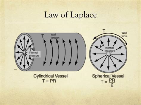 Today in this article, we will discuss the hyaline membrane disease of newborns. PPT - Hyaline Membrane Disease PowerPoint Presentation ...