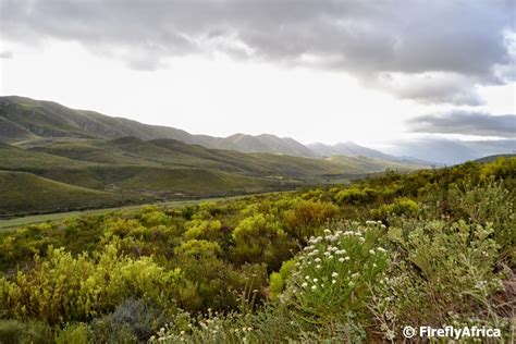 The Beauty Of The Langkloof Firefly The Travel Guy