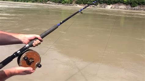 Sturgeon fishing with a good old PEETZ reel courtesy of Landon Gill and
