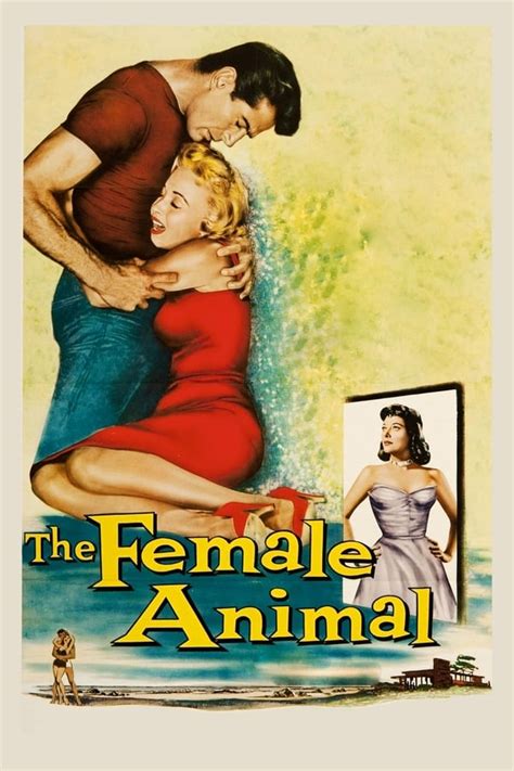 The Female Animal 1958 — The Movie Database Tmdb