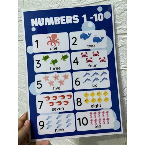 Learning Materials And Educational Chart For Kids Laminated A4 Size