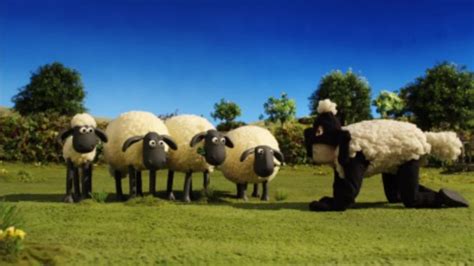 Shaun The Sheep Season 5 Episode 13
