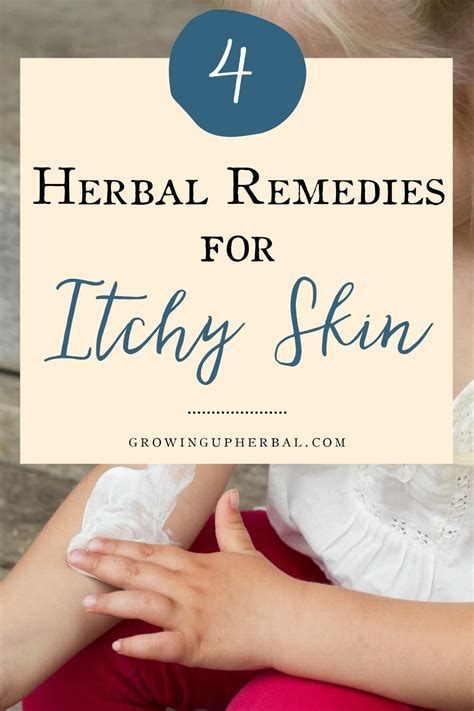 4 Herbal Remedies To Relieve Itchy Skin In 2021 Herbalism Herbs For