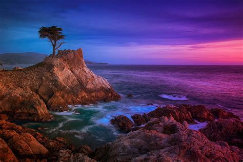 Rocky Beach Landscape During Sunset Lone Cypress Hd