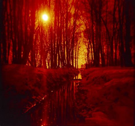 Its A Red Red Red World Holga 022009 One Last Time Som Flickr