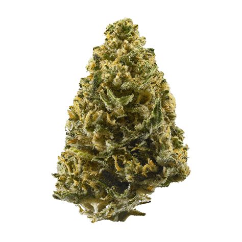 Northern Lights Weed Strain Information — 2one2 Dispensary