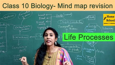 Life Processes Class Biology Mind Map Revision Youtube