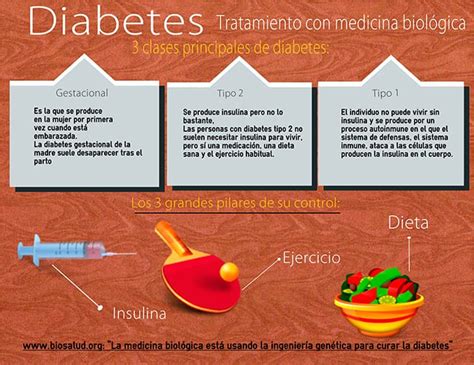 Diabetes tratamiento con medicina biológica Biosalud