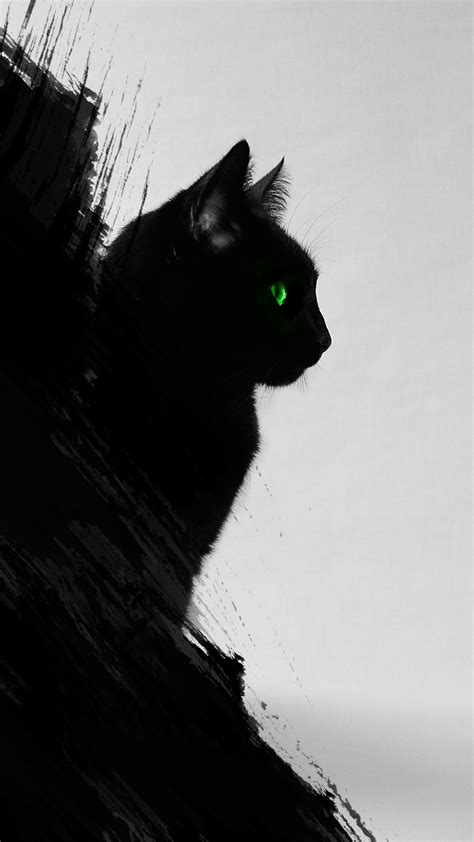 Posted on october 9, 2019november 14, 2019 by oleg konchenkov — leave a comment. Black Cat iPhone Wallpaper HD